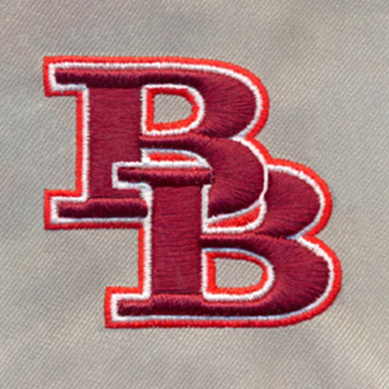 Embroidery Digitizing Sample 3